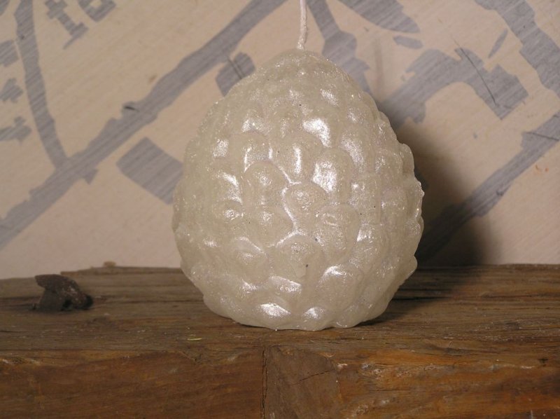 Tannenzapfen - Pinie