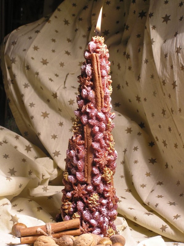 Tannenzapfen - Kegel